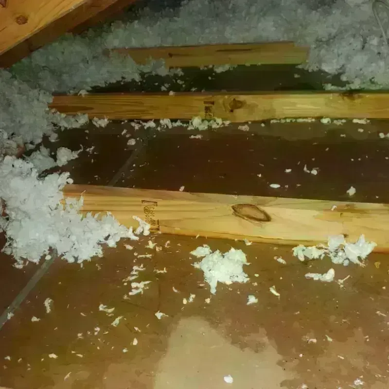 Attic Water Damage in Alexandria, VA