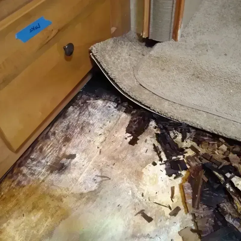 Wood Floor Water Damage in Alexandria, VA